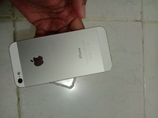 (Kategori: ) berada di . Dikirim oleh rewan (ID iklan 1007675376, Gambar 1). Deskripsi: .