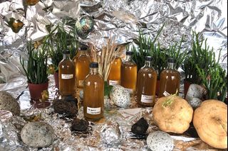 (Category: ) located in . Submitted by kombucha_moon (Listing ID 1007631155, Image 1). Description: .