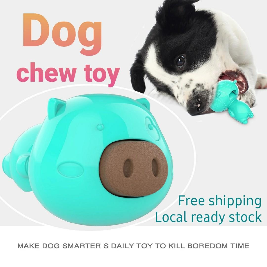 dog toy accessories
