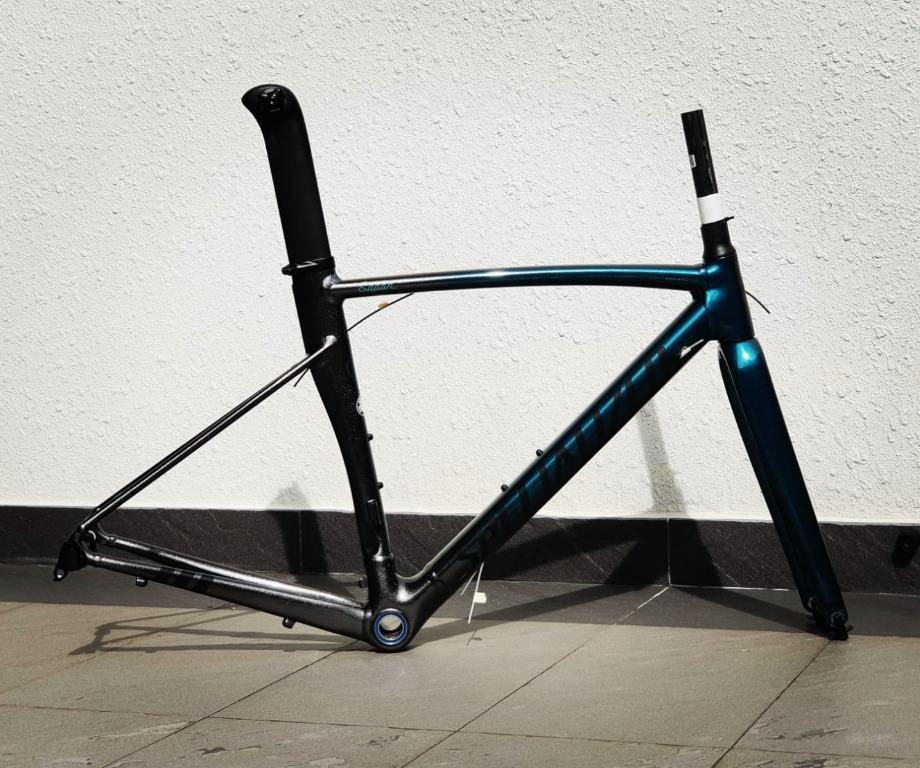2019 Specialized Peter Sagan Limited Edition Allez Sprint