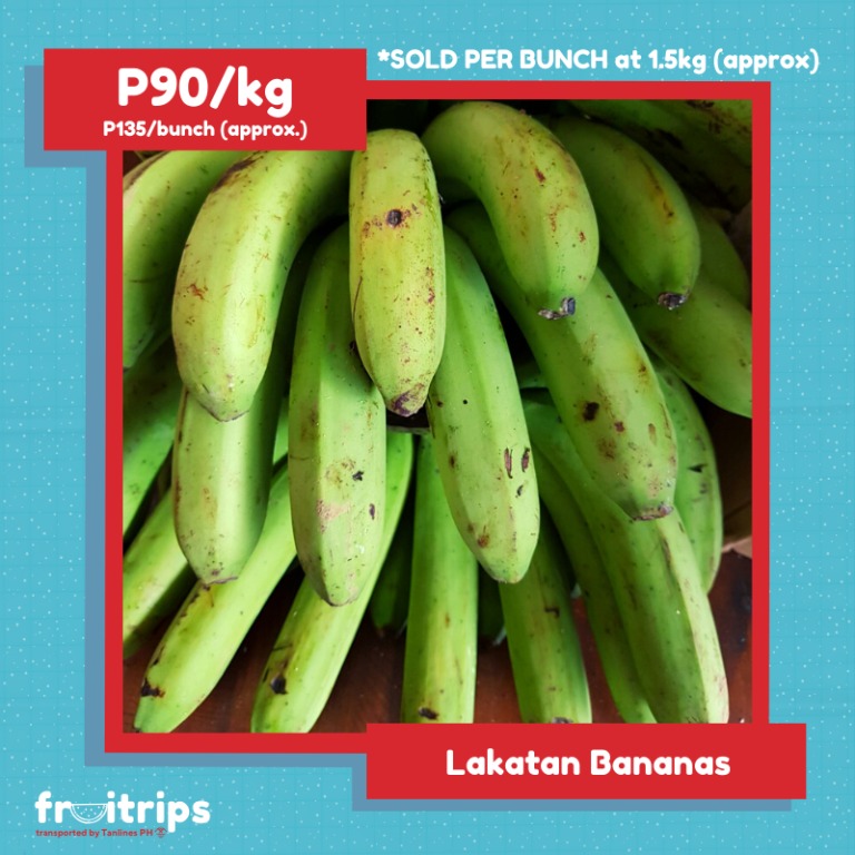 [ FRESH! ] Lakatan Bananas, Food & Drinks, Fresh Produce on Carousell