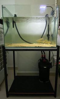 (Category: ) located in . Submitted by soecrystal (Listing ID 1007924942, Image 1). Description: .