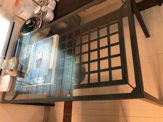（分類：）位於 。 由 minimi50 提交（商品編號 1007896027，圖片 1）。簡介： 。