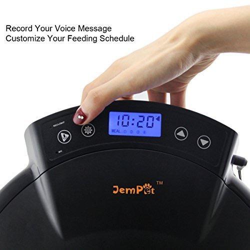 Jempet Automatic Pet Feeder, Everything Else on Carousell