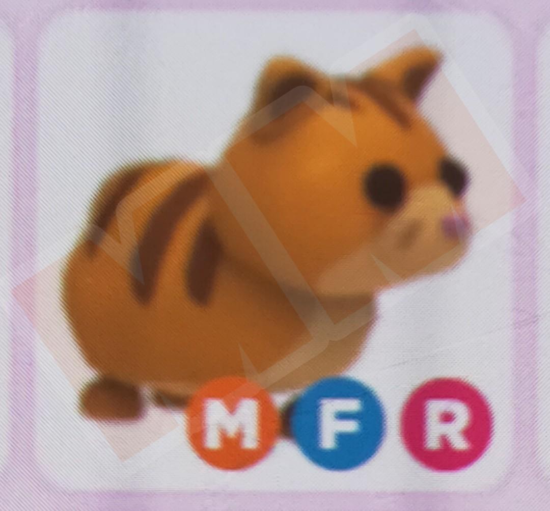Sales Mega Neon Ginger Cat Adopt Me Toys Games Video Gaming In Game Products On Carousell - roblox adopt me mega neon legendary pets