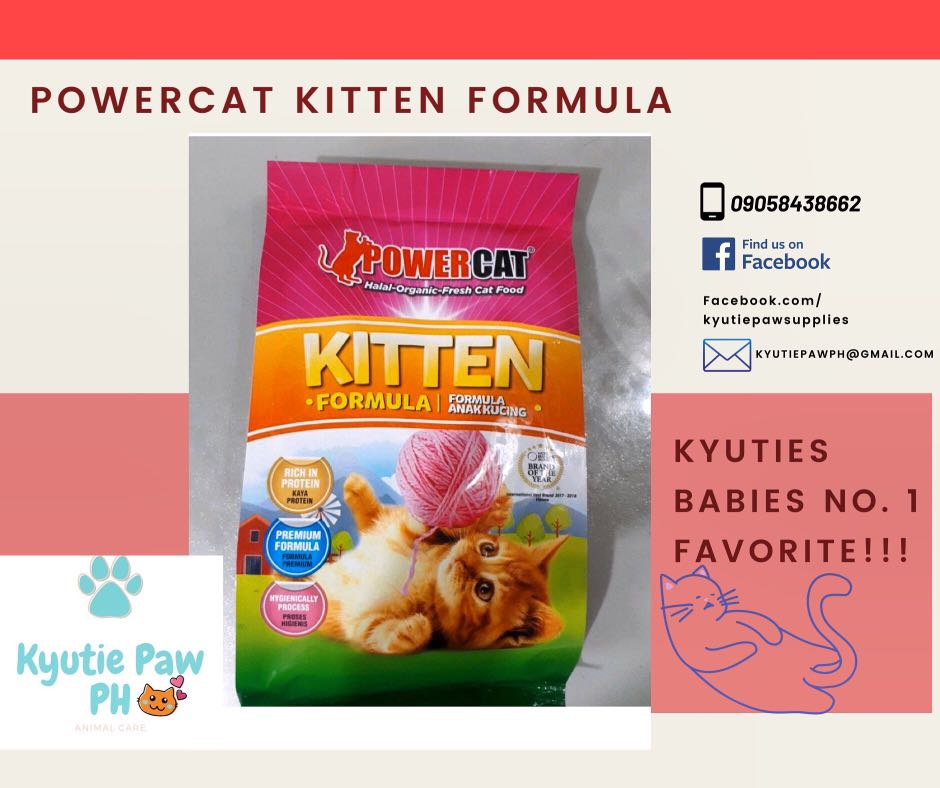 powercat kitten