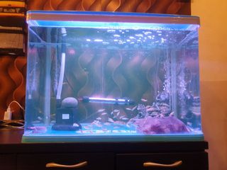 (Category: ) located in . Submitted by .patrick_lim (Listing ID 1007942163, Image 1). Description: .