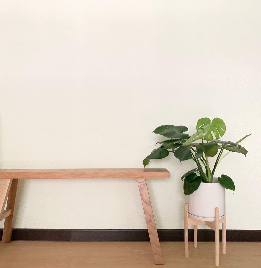 White Ceramic Pot With Wooden Stand Gardening Pots Planters On Carousell
