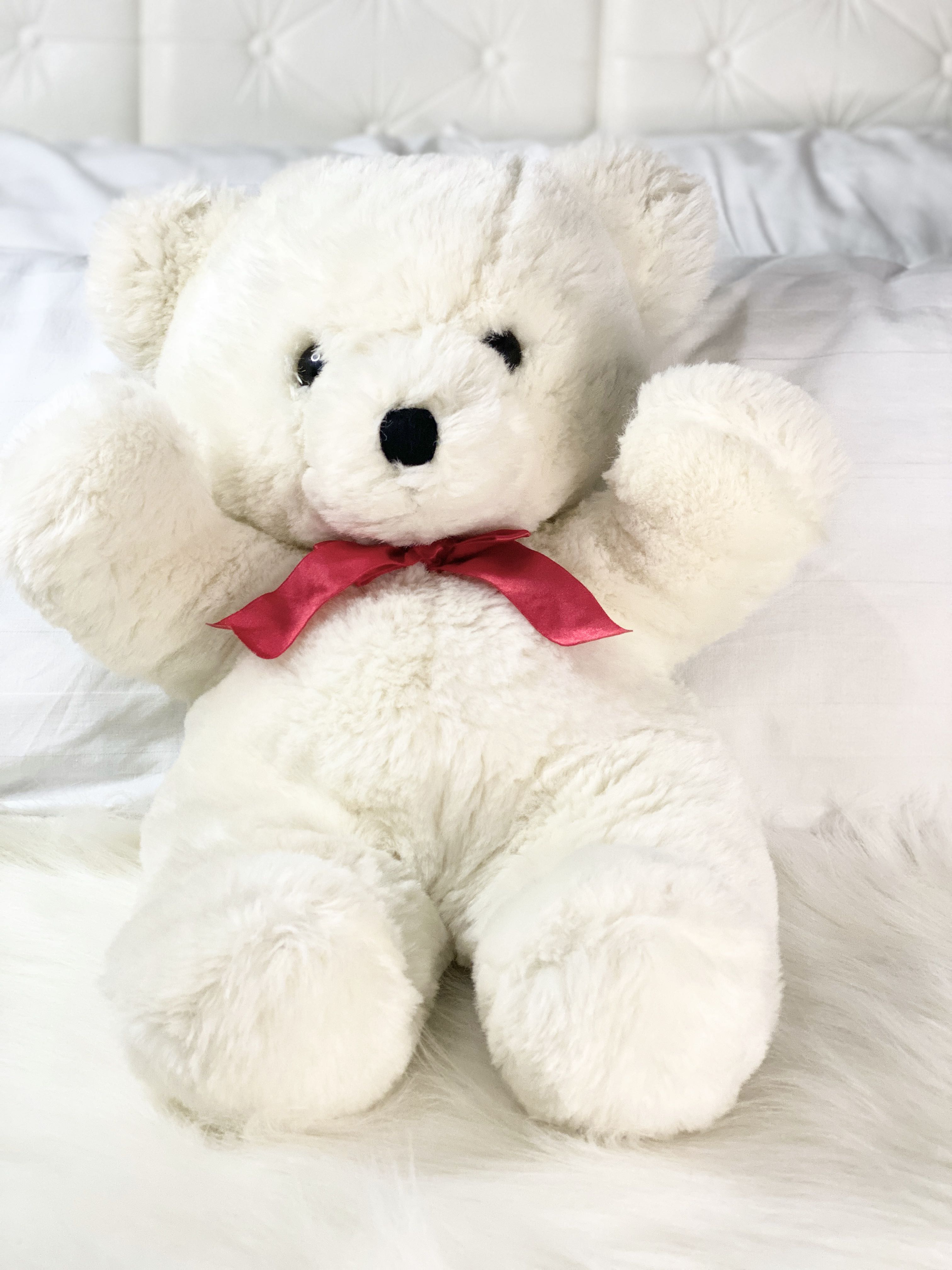 buy white teddy bear