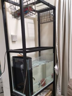 (Category: ) located in . Submitted by lilacbean (Listing ID 1007979071, Image 1). Description: .