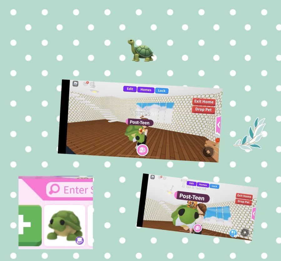 Adopt Me Roblox Turtle Toys Games Video Gaming In Game Products On Carousell - gg me me roblox