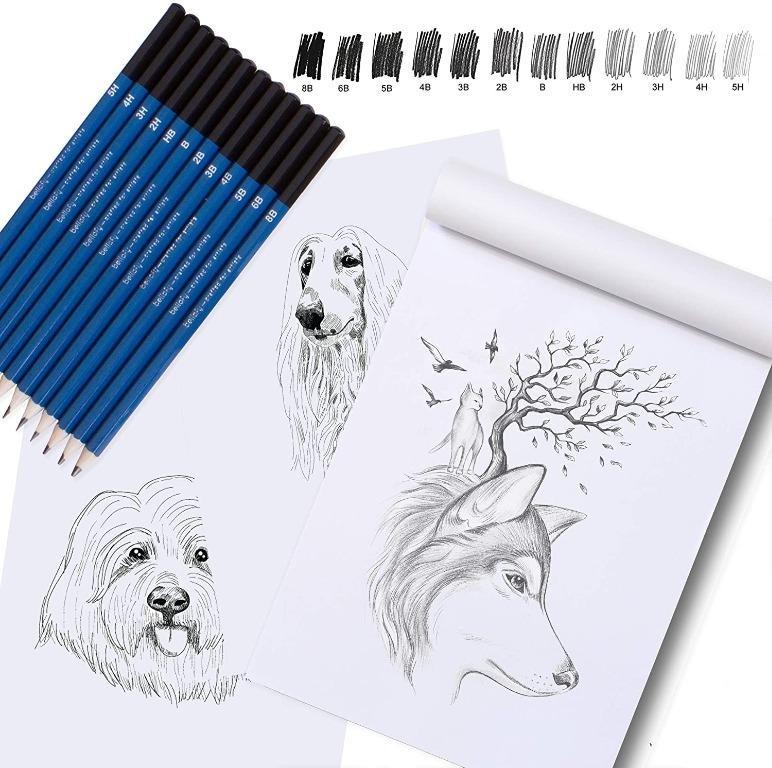 Bellofy Professional Drawing Kit Artist Drawing Supplies Kit 33