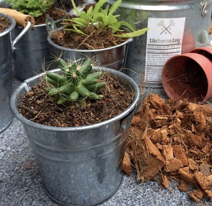 Ikea Plant Pots Gardening Pots Planters On Carousell