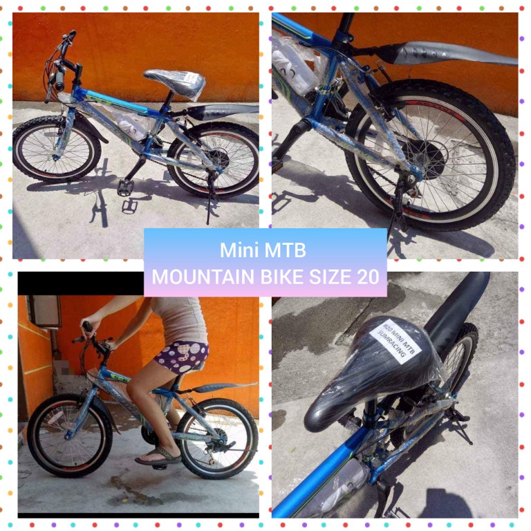 mountain bike mini