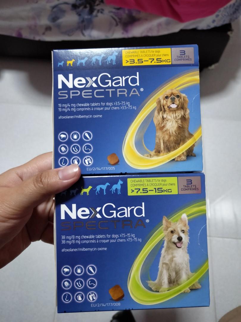 nexgard spectra m