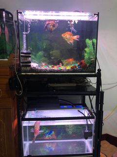 (Category: ) located in . Submitted by mike666 (Listing ID 1008368895, Image 1). Description: .