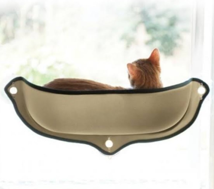 Cat Car Window Hammock Pets Supplies Pet Accessories On Carousell