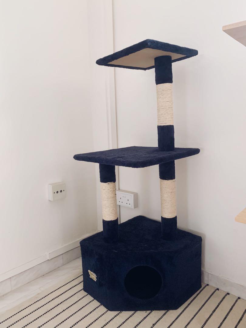 fancy cat accessories