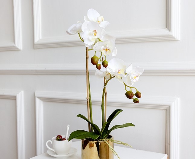 Potted Orchid Artificial Plant Tree Flowers Furniture Home Decor Others On Carousell
