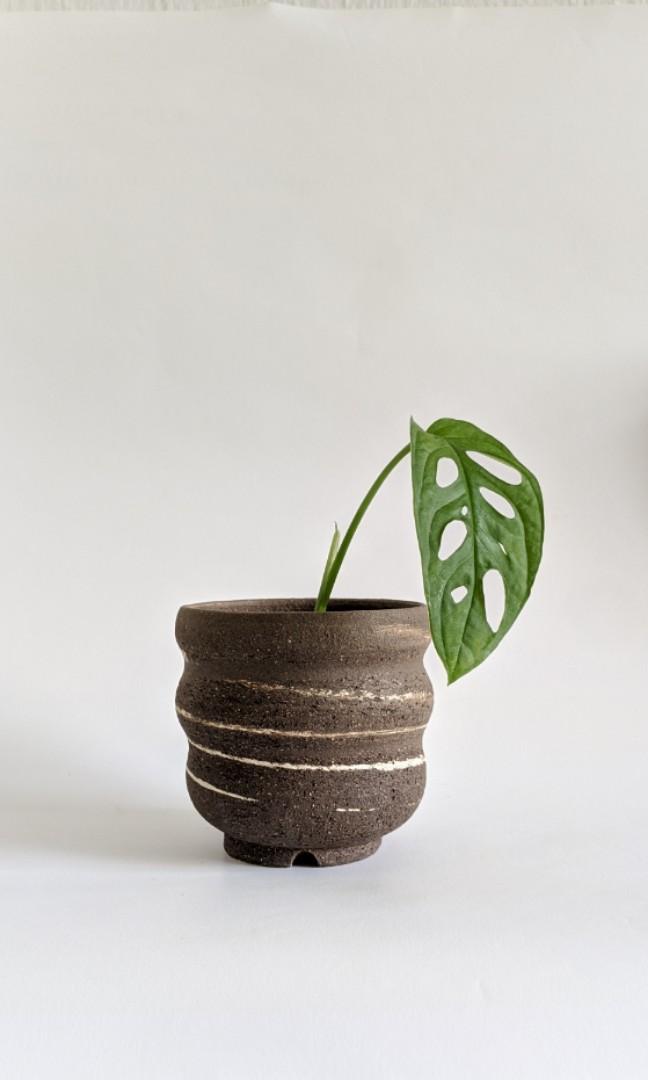 Backorder Rocky Ridge Small Ceramic Planter Plant Pot Gardening Pots Planters On Carousell