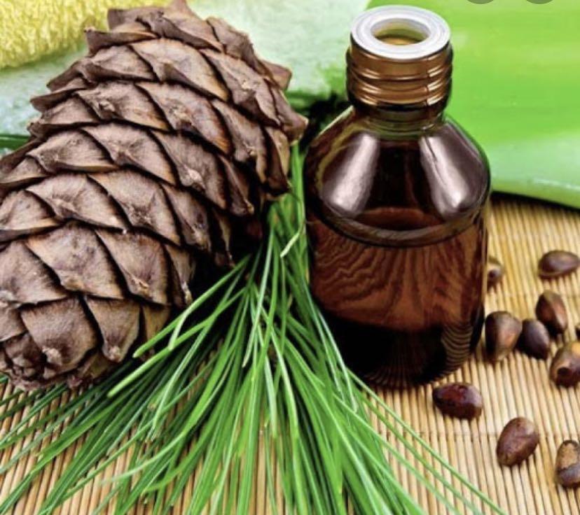 100% Pure Atlas Cedar Essential Oil (30ml), Everything Else on Carousell 100% Pure Atlas Cedar Essential Oil (30ml), Everything Else on Carousell