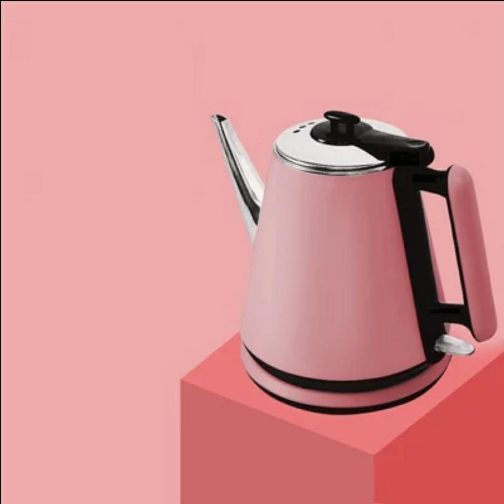 1L Electric Kettle Long Spout Mouth Automatic Power Off Travel Mini