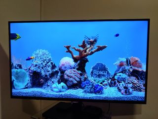 (Category: ) located in . Submitted by ajaysg (Listing ID 1008545094, Image 1). Description: .