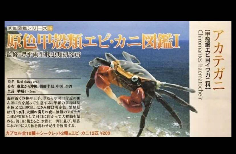 全新Yujin 原色甲殼類蝦蟹圖鑑1 扭蛋紅鉗蟹一款包郵, 興趣及遊戲, 玩具