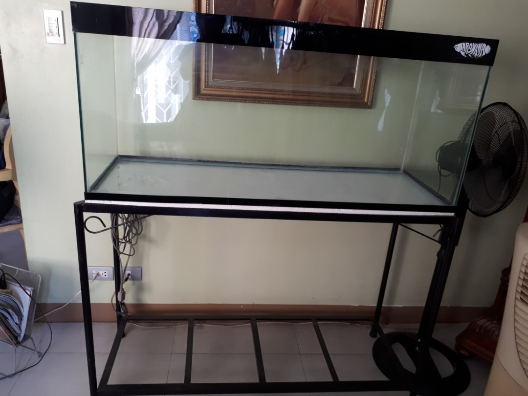 Aquarium set, Pet Supplies, Homes & Other Pet Accessories on Carousell