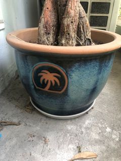 (Category: ) located in . Submitted by cihanft9 (Listing ID 1008439590, Image 1). Description: .