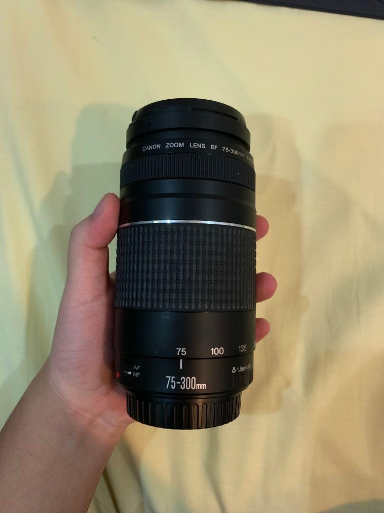 Canon 75 300mm Lens Photography On Carousell
