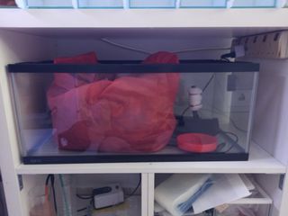 (Category: ) located in . Submitted by wtang004 (Listing ID 1008431677, Image 1). Description: .