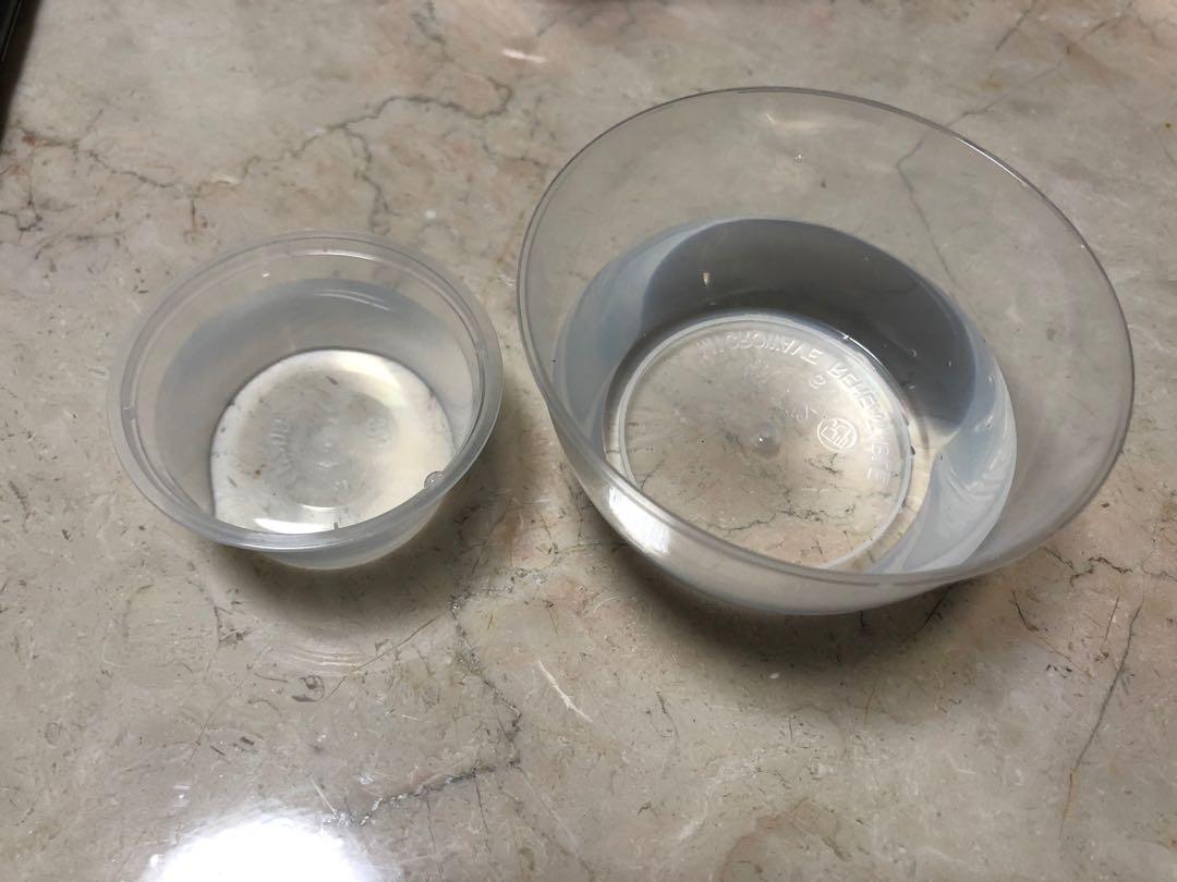 Infusoria vinegar eel eels, Pet Supplies, Homes & Other Pet Accessories