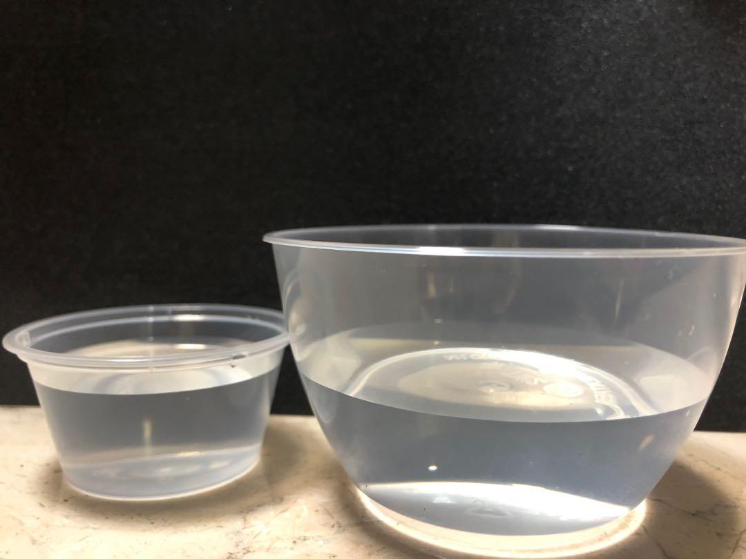 Infusoria vinegar eel eels, Pet Supplies, Homes & Other Pet Accessories
