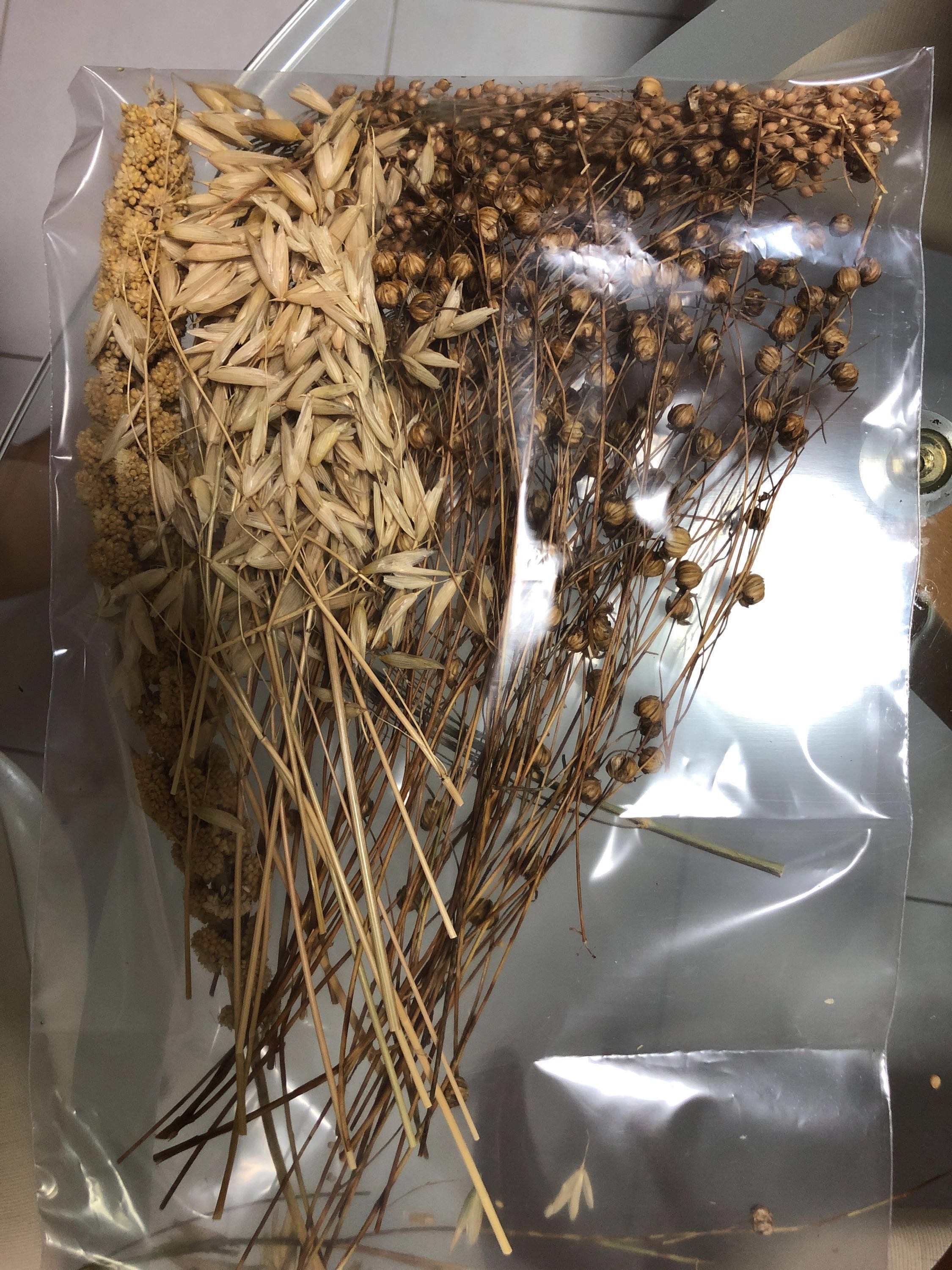 100g flax spray millet spray oat spray piston millet spray for