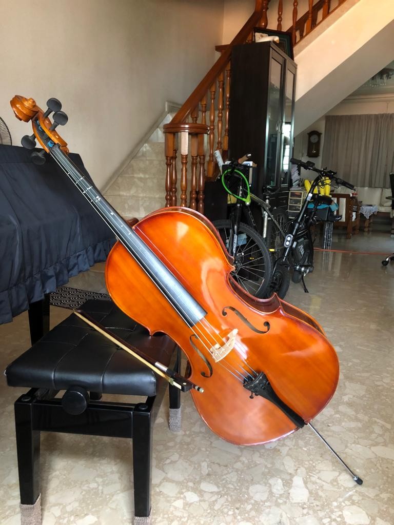 Second hotsell hand cello