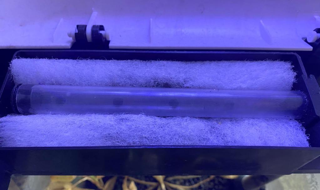 SOBO SO300F FIsh Tank 15 Litres, Pet Supplies, Homes & Other Pet Accessories on Carousell