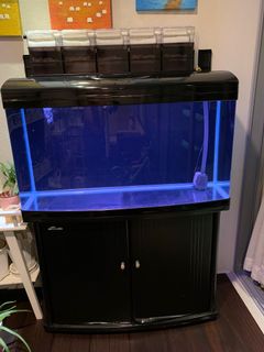 (Category: ) located in . Submitted by markie74 (Listing ID 1008833821, Image 1). Description: .