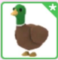 Adopt Me Roblox Drake Farm Egg Toys Games Video Gaming In