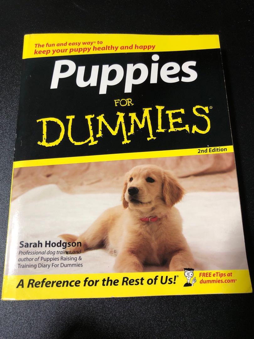 dummies dog training