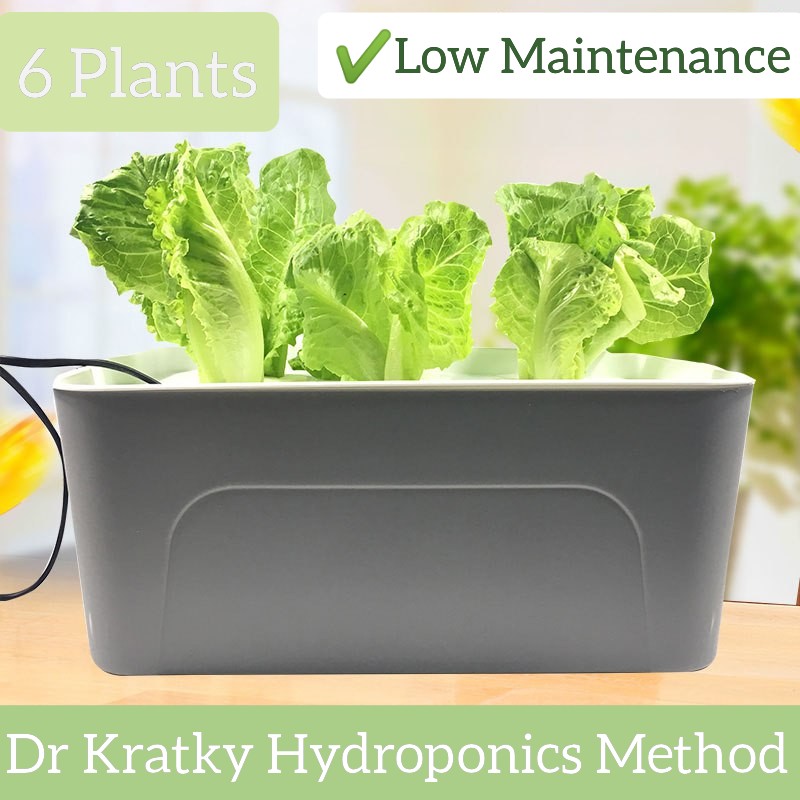 Hydroponics Kratky Method Box Gardening Pots Planters On Carousell