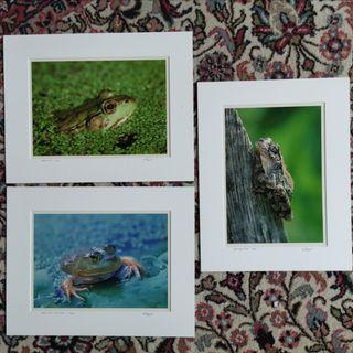 Limited Edition Photo Prints with Certificates