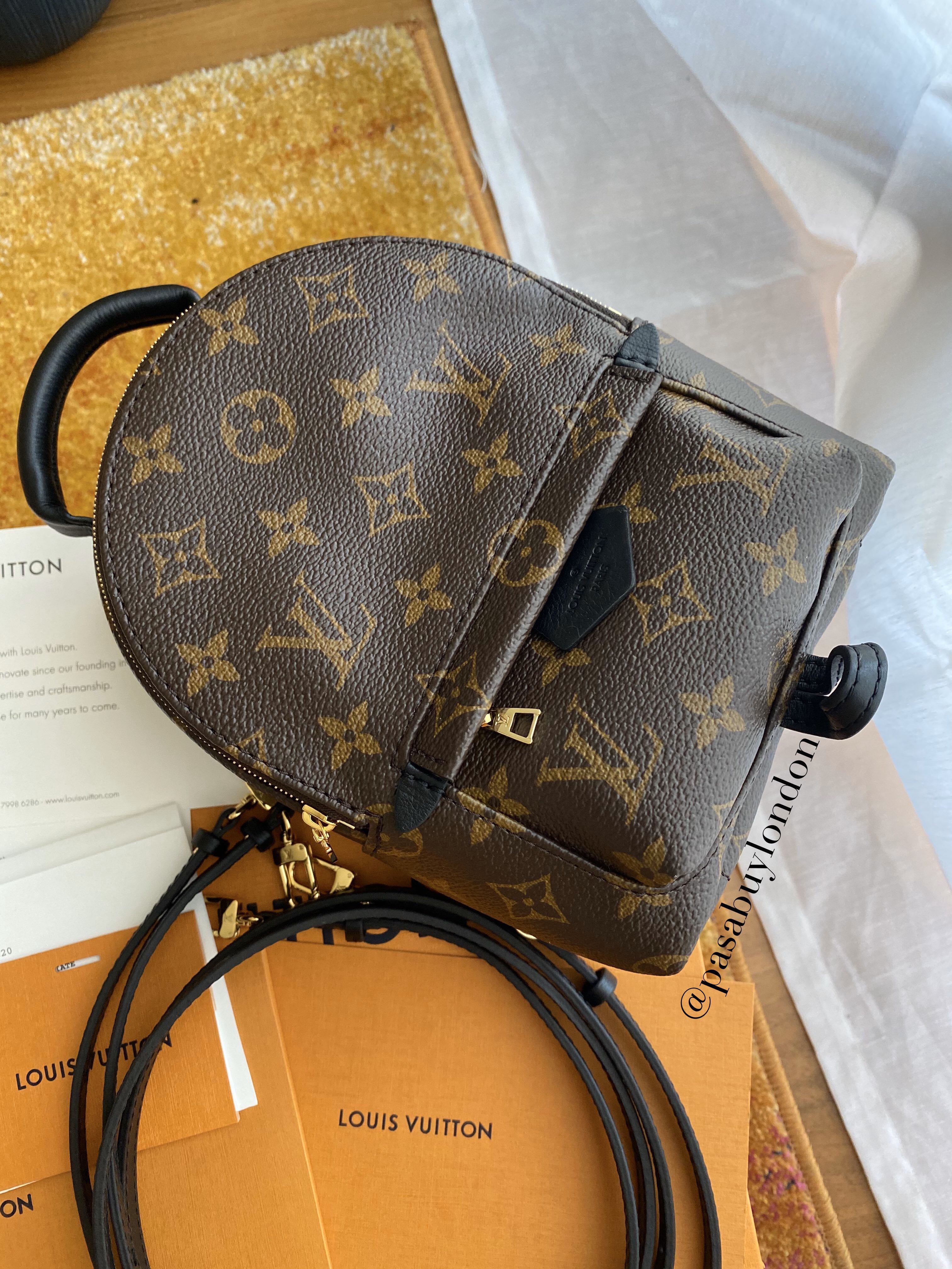Louis Vuitton Unboxing - Palm Springs Backpack MM 