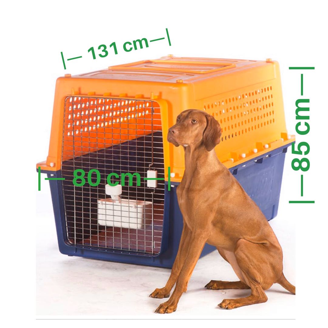 PP90 IATA Approved Dog Crate, Pet Supplies, Homes & Other Pet