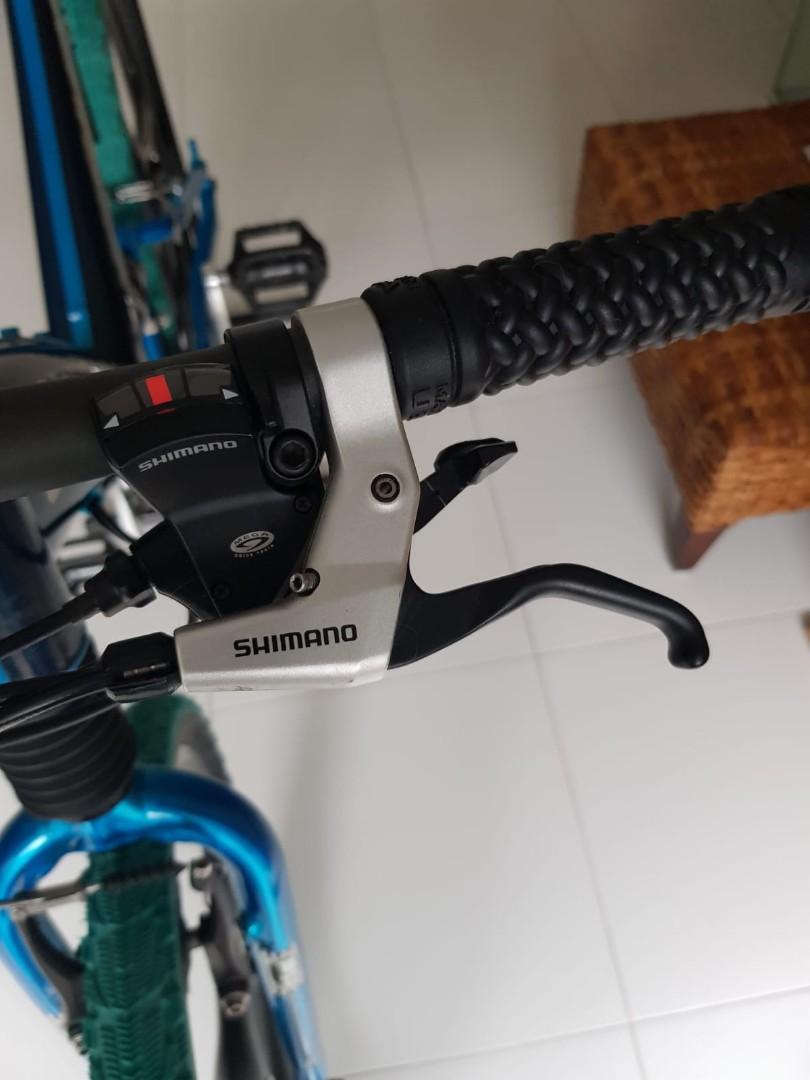 cannondale raven carbon