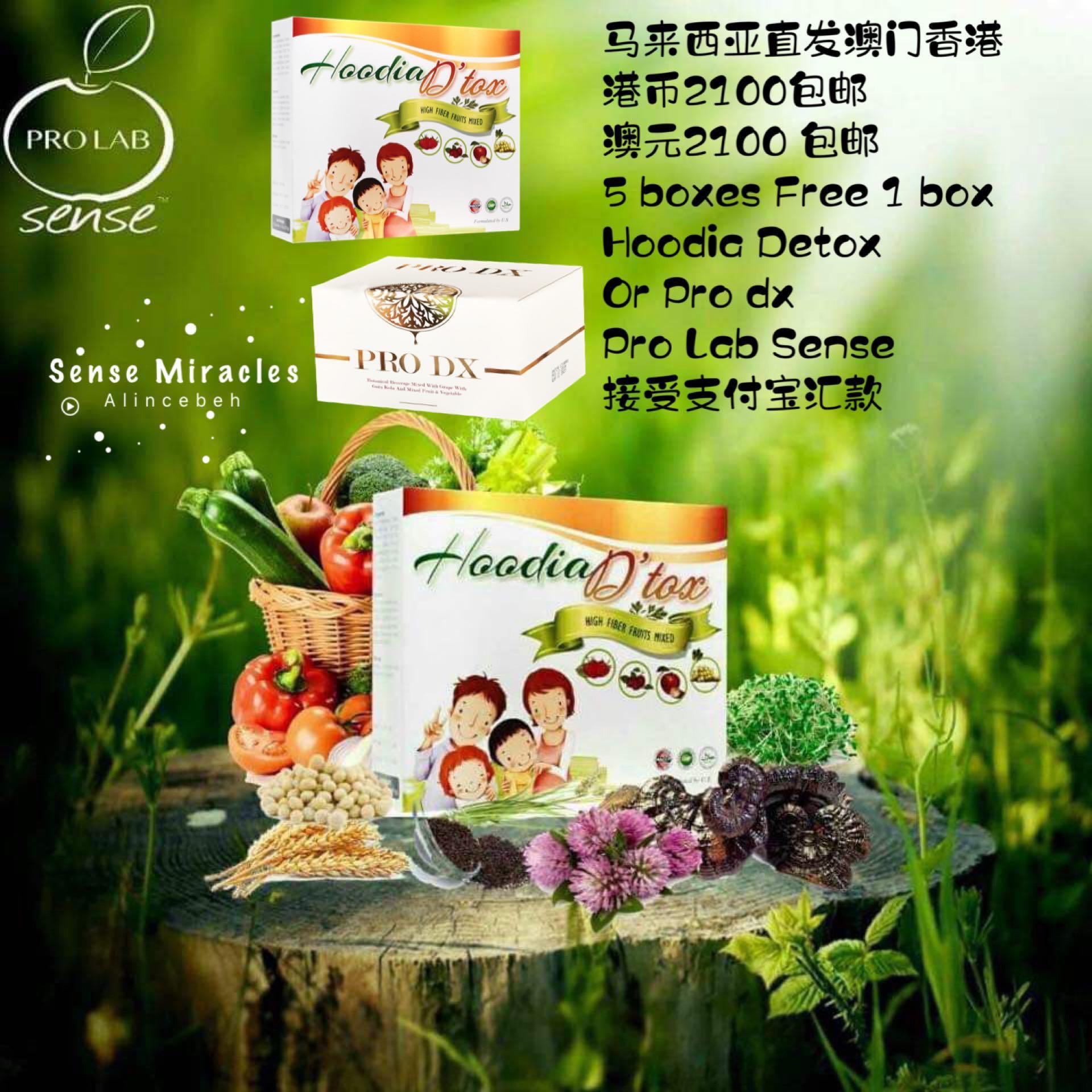 马来西亚直邮👉6盒Hoodia Detox + 6盒pro dx果汁, 嘢食& 嘢飲, 飲料- Carousell
