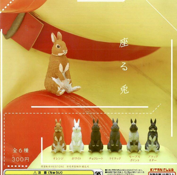 海洋堂kitan 奇譚クラブsitting Rabbit 座る兎不可思議動物坐姿兔 全套6隻 興趣及遊戲 玩具 遊戲類 Carousell