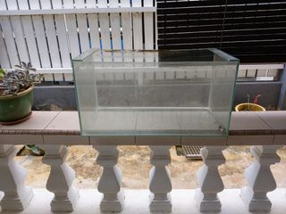 (Category: ) located in . Submitted by kenkino (Listing ID 1008985508, Image 1). Description: .
