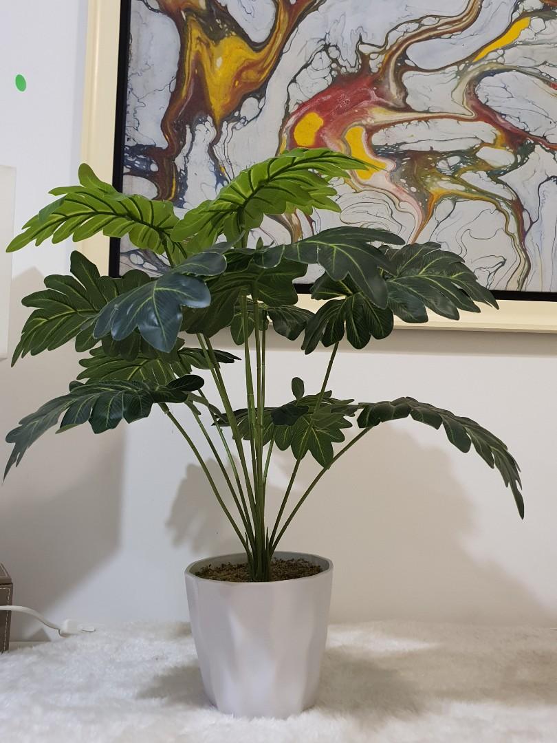 Beautiful Realistic Artificial Plant, Furniture & Home Living, Home