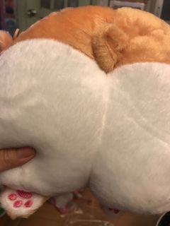 （分類：）位於 。 由 iris12300 提交（商品編號 1009047082，圖片 1）。簡介： 。